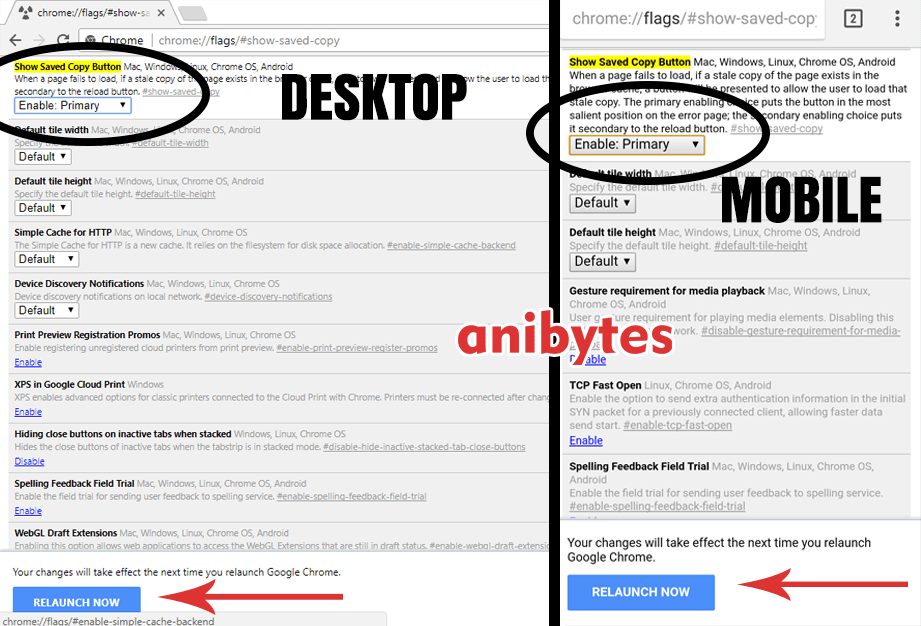 offline browsing in chrome
